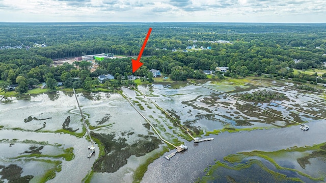 1227 River Rd, Johns Island, SC 29455 - aerial view of property and surrounding area with a forest