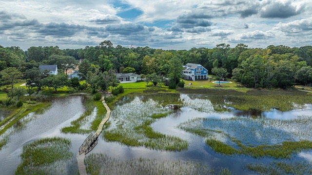 1227 River Rd, Johns Island, SC 29455 - water view with a forest