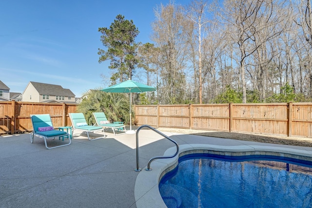 view of swimming pool featuring a fenced in pool, a patio area, and a fenced backyard