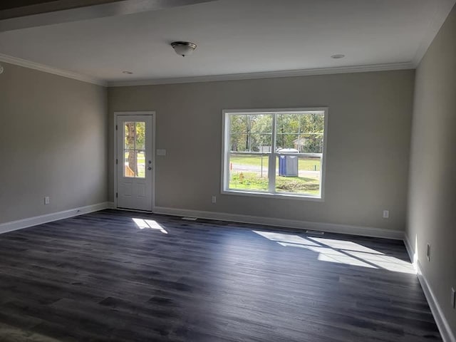 spare room featuring ornamental molding, a healthy amount of sunlight, and dark hardwood / wood-style floors