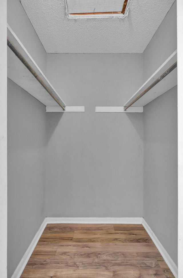 walk in closet featuring hardwood / wood-style flooring