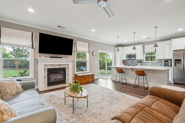 living room with a fireplace, crown molding, ceiling fan, hardwood / wood-style floors, and sink