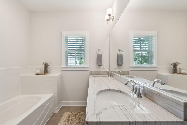 bathroom with wood-type flooring, vanity, and a washtub