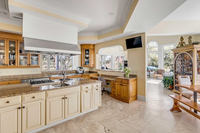 kitchen featuring glass insert cabinets, a wealth of natural light, a raised ceiling, and light stone countertops