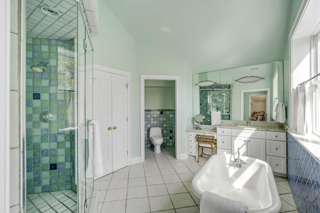 bathroom featuring tile walls, toilet, a stall shower, vanity, and tile patterned flooring