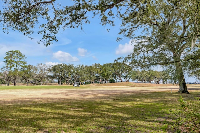 view of community with a lawn