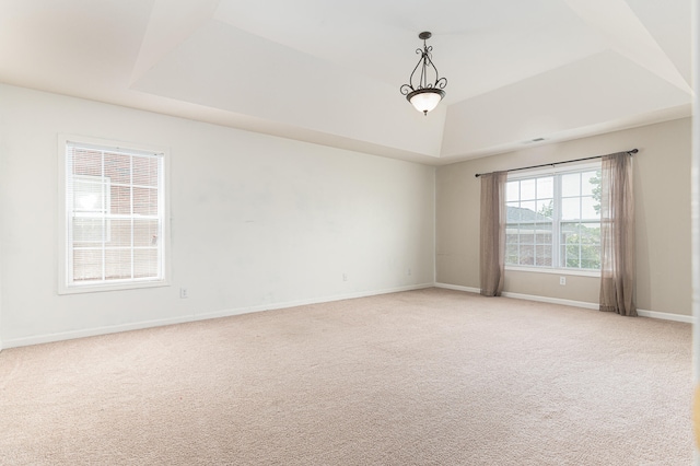 unfurnished room with light carpet and a raised ceiling