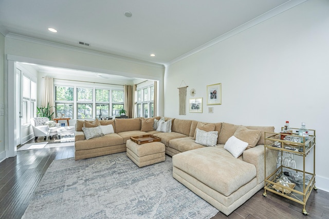 living room featuring hardwood / wood-style flooring, ornamental molding, and a wealth of natural light