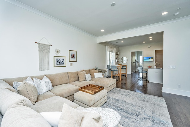 living room with ornamental molding, dark hardwood / wood-style floors, and sink