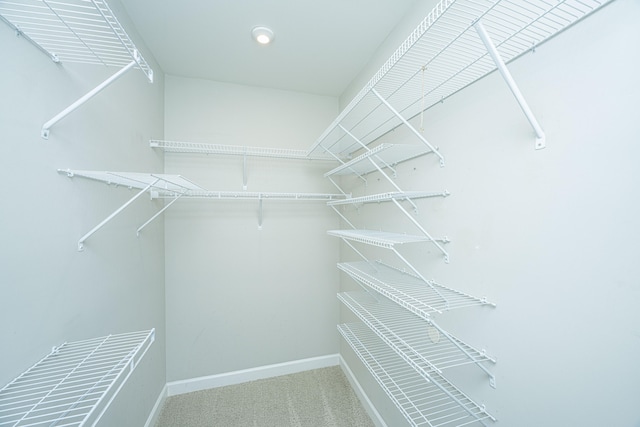 walk in closet featuring carpet