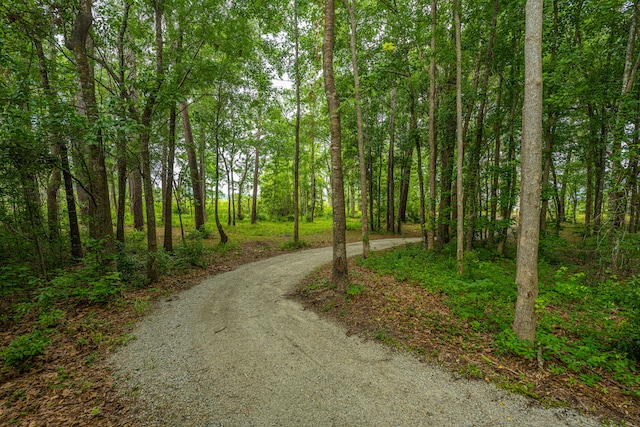 view of road