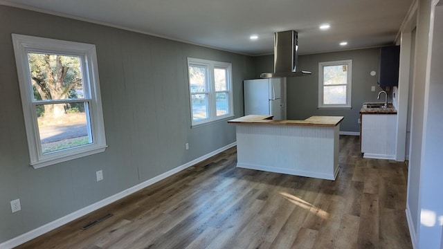 kitchen with wood counters, dark hardwood / wood-style flooring, sink, white refrigerator, and range hood