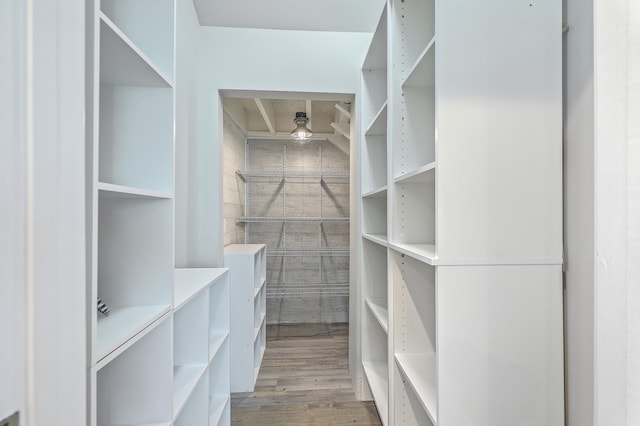 spacious closet featuring hardwood / wood-style floors and ceiling fan