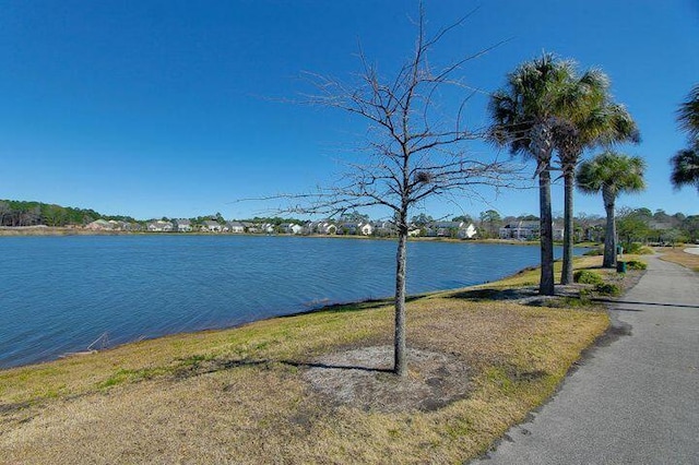 view of water feature