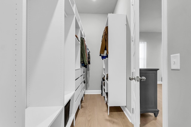 1017 Marsh Royal St, Summerville, SC 29485 - walk in closet with light wood finished floors