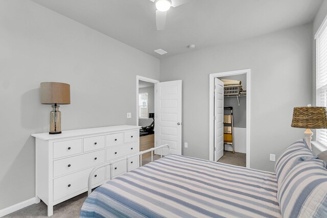1017 Marsh Royal St, Summerville, SC 29485 - bedroom with carpet floors, multiple windows, baseboards, and a ceiling fan