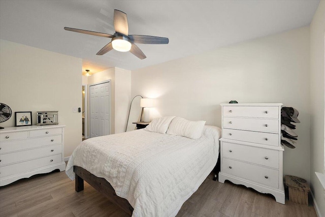 312 Kelsey Blvd, Wando, SC 29492 - bedroom with wood finished floors, a closet, and ceiling fan