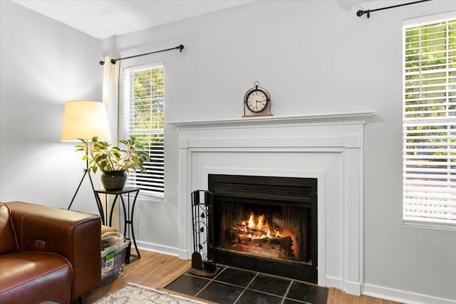 interior details featuring a fireplace with flush hearth, baseboards, and wood finished floors