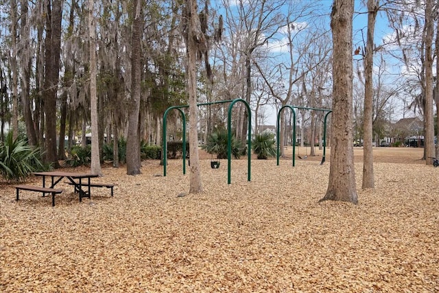 view of jungle gym