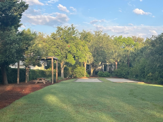 view of green lawn