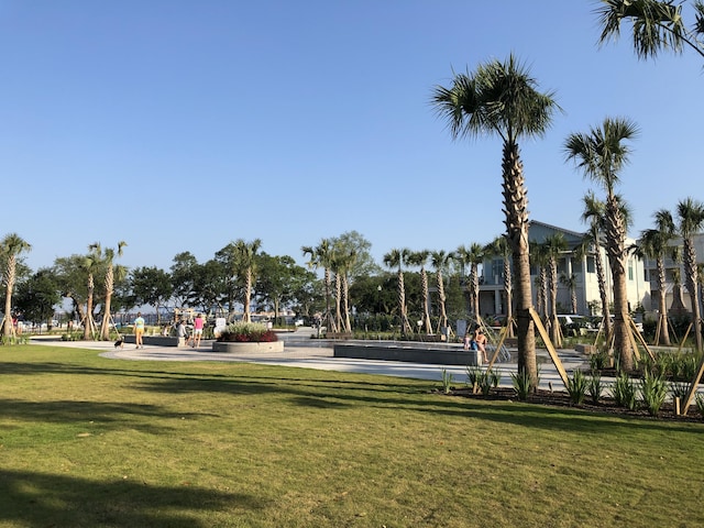 view of community featuring a yard