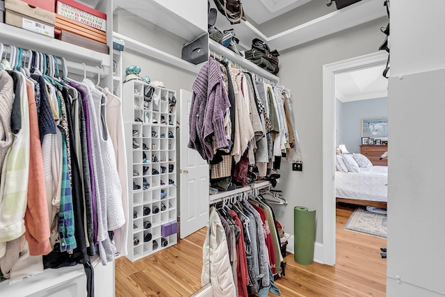 walk in closet with wood finished floors