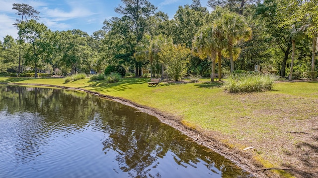 7945 Parklane Ct Unit C, North Charleston, SC 29418 - water view with a tree filled landscape