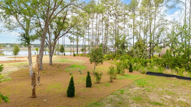 821 Roddin St, Charleston, SC 29492