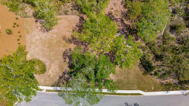 821 Roddin St, Charleston, SC 29492