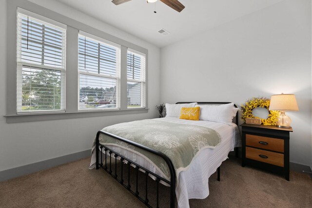 404 Omaha Dr, Moncks Corner, SC 29461 - carpeted bedroom featuring multiple windows, baseboards, and ceiling fan