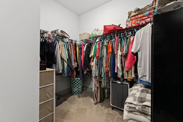 404 Omaha Dr, Moncks Corner, SC 29461 - walk in closet featuring carpet flooring