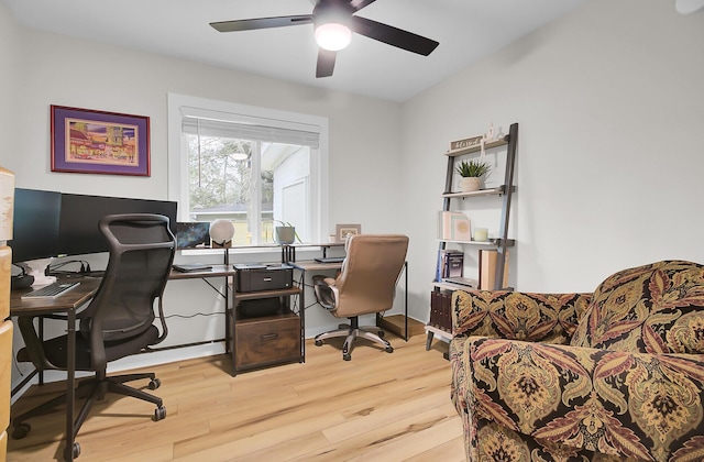 office space with a ceiling fan and light wood-style floors