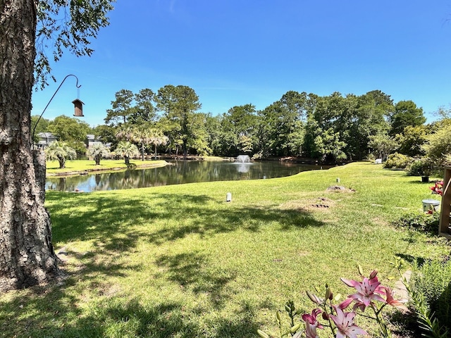 view of yard with a water view