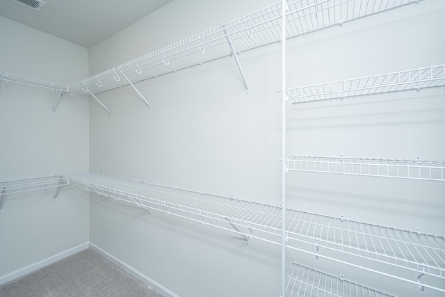 spacious closet featuring carpet flooring