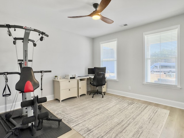 office area with light hardwood / wood-style flooring, plenty of natural light, and ceiling fan