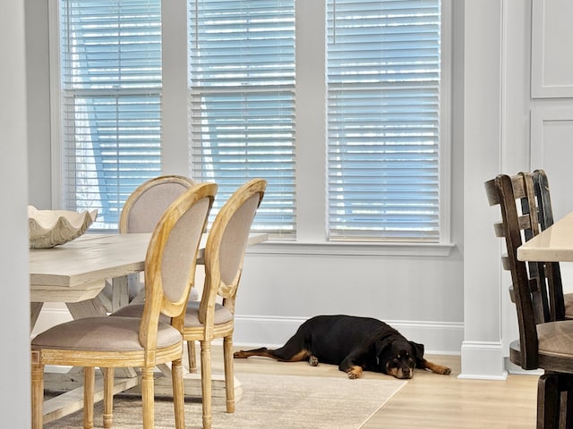 dining space featuring hardwood / wood-style floors