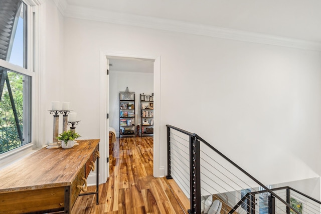 corridor featuring hardwood / wood-style floors and crown molding