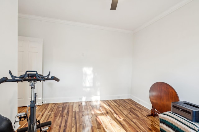 workout room with wood-type flooring and ornamental molding