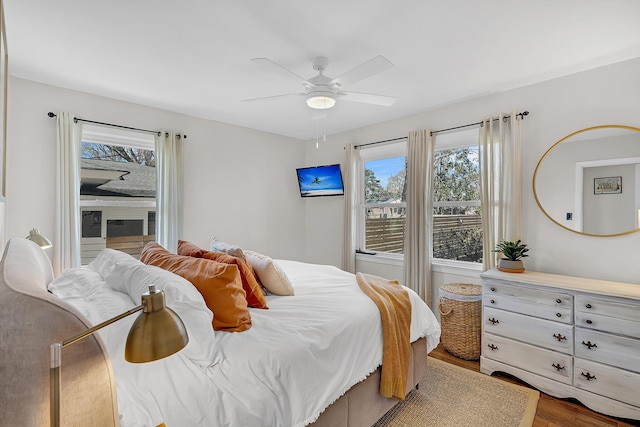 bedroom with multiple windows, wood finished floors, and ceiling fan