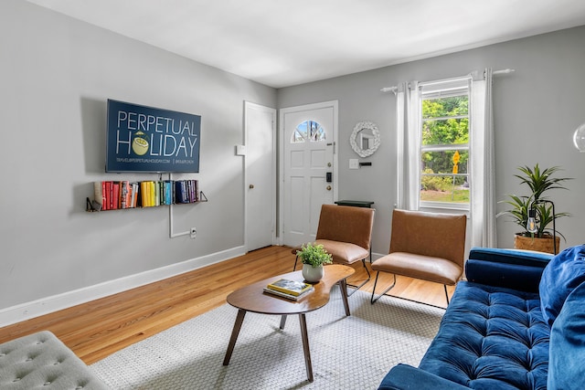 living room with wood-type flooring