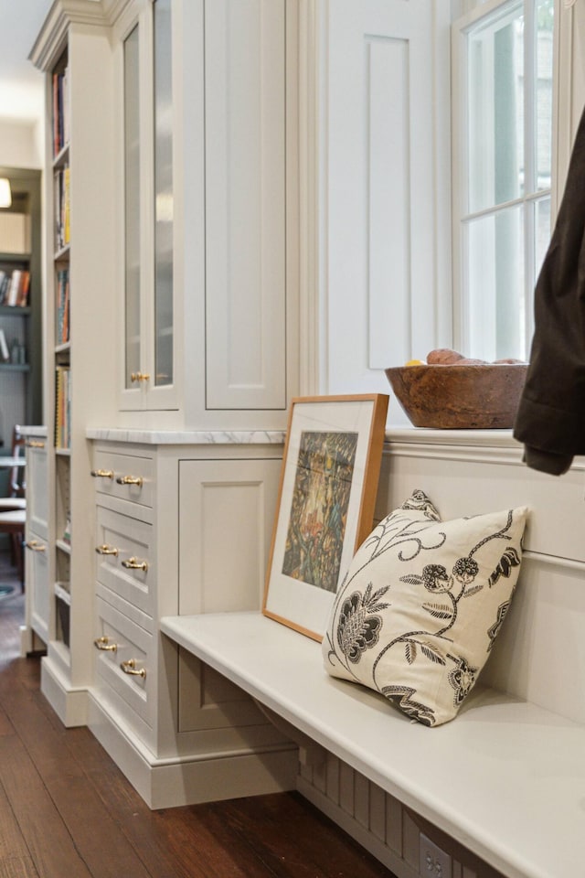 mudroom with dark wood-type flooring