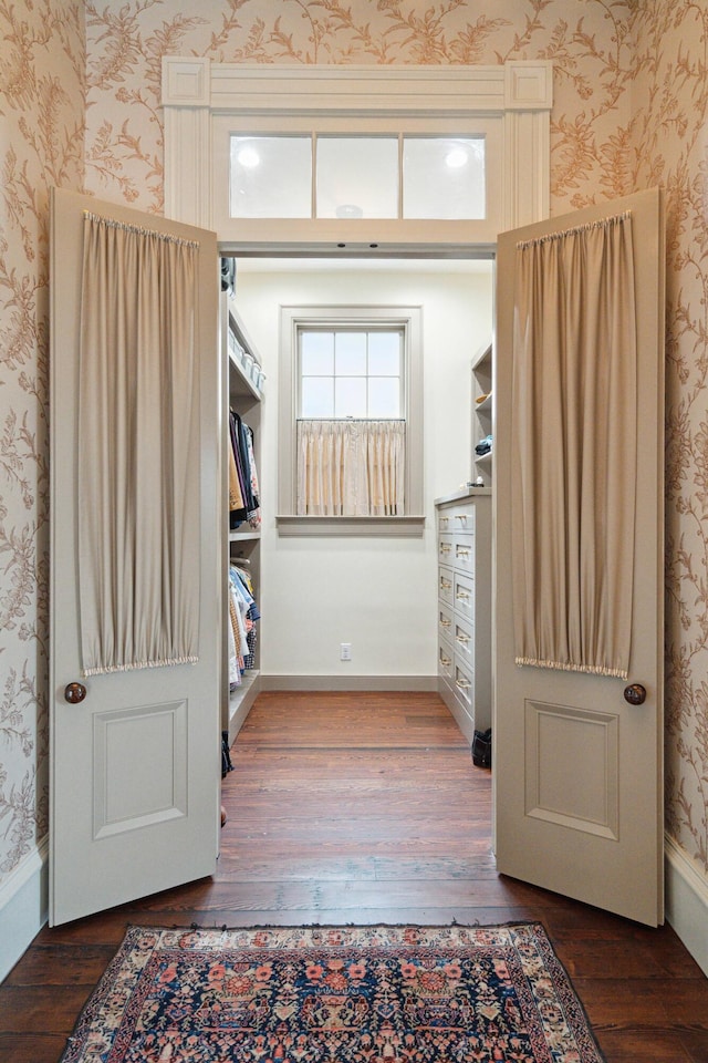 spacious closet with dark hardwood / wood-style floors