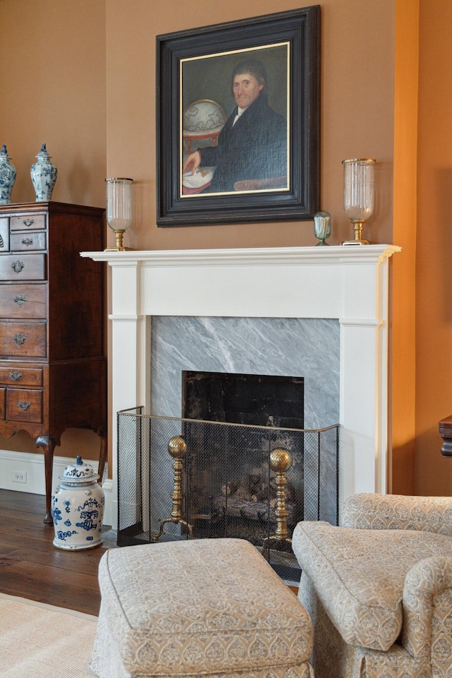 details featuring a premium fireplace and wood-type flooring