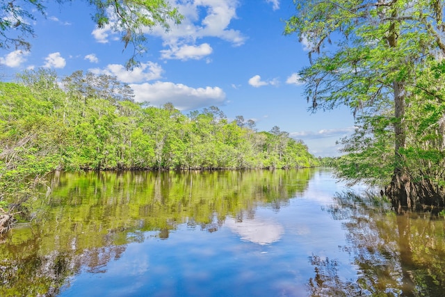 7095 Parkers Ferry Rd, Adams Run, SC 29426