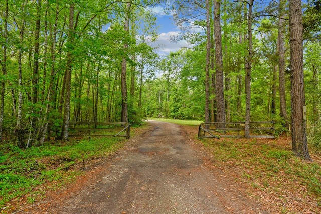 7095 Parkers Ferry Rd, Adams Run, SC 29426