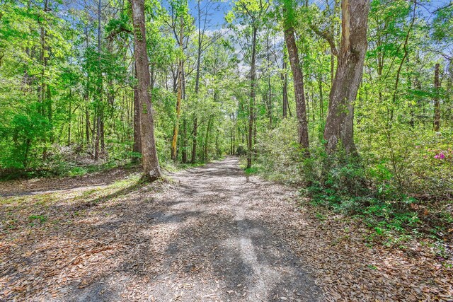 7095 Parkers Ferry Rd, Adams Run, SC 29426