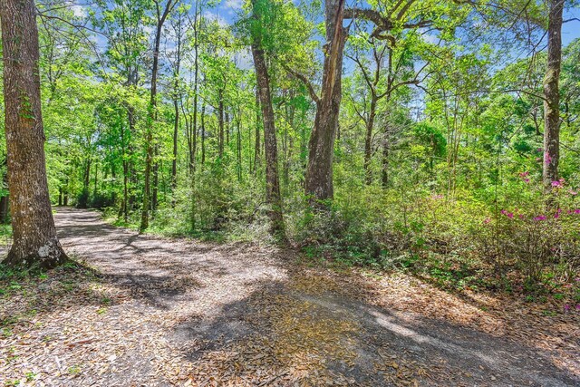 7095 Parkers Ferry Rd, Adams Run, SC 29426