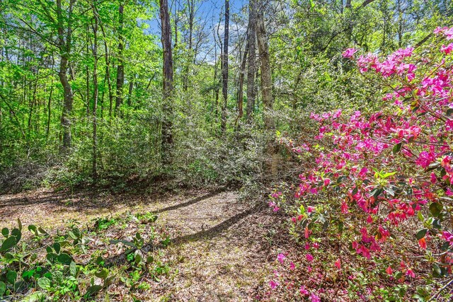 7095 Parkers Ferry Rd, Adams Run, SC 29426