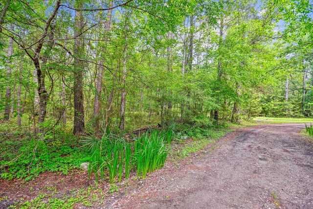 7095 Parkers Ferry Rd, Adams Run, SC 29426