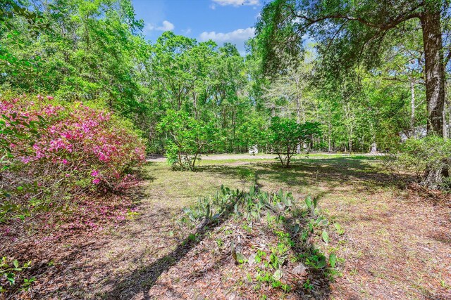 7095 Parkers Ferry Rd, Adams Run, SC 29426